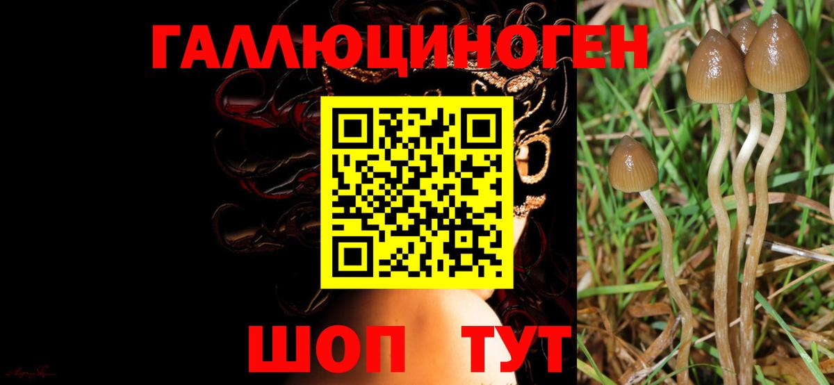 Галлюциногенные грибы Magic Shrooms Ижевск
